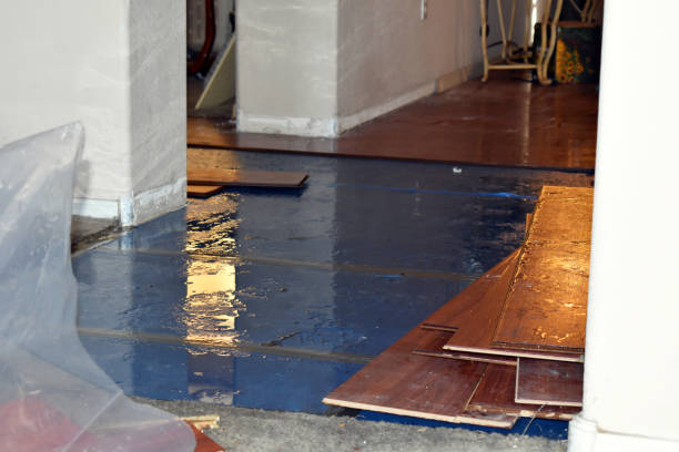 Professional Emergency Water Damage Restoration technician working in Webster City, IA
